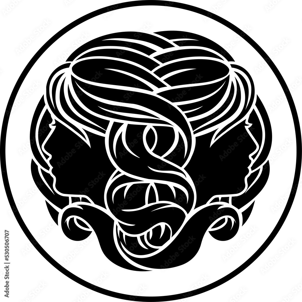 Zodiac Signs Gemini Twins Zodiac Signs Gemini Twins