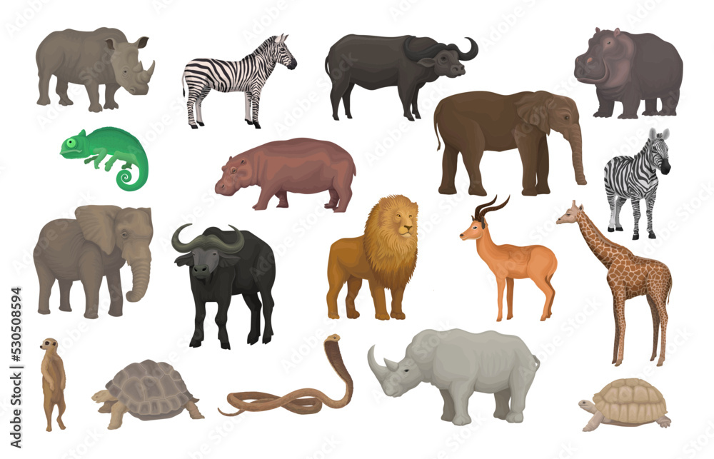 Wild African Animals as South Native Fauna and Wildlife Species Vector Set