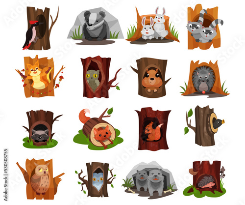 Forest Animals Sitting in Tree Hollow and Burrow as Woodland Home Vector Set