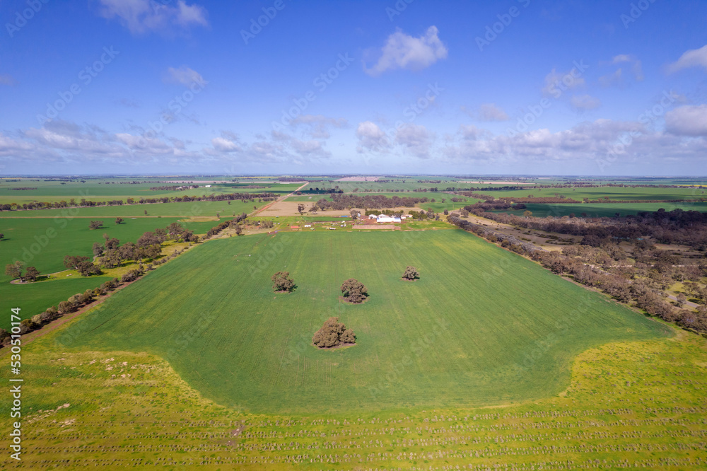 Looking down on farmland with wheat, canola and other grain crops.