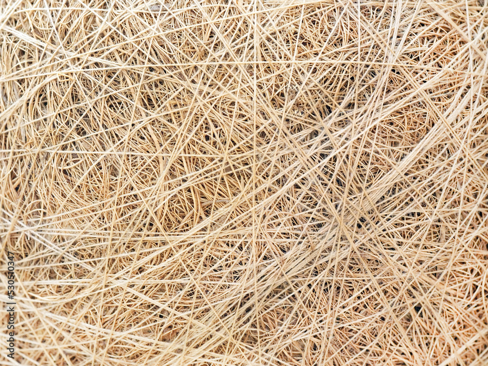 The background is beige yellow. Thread strips The background is beige yellow. Thread strips