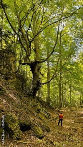 person in the woods © munsa maga