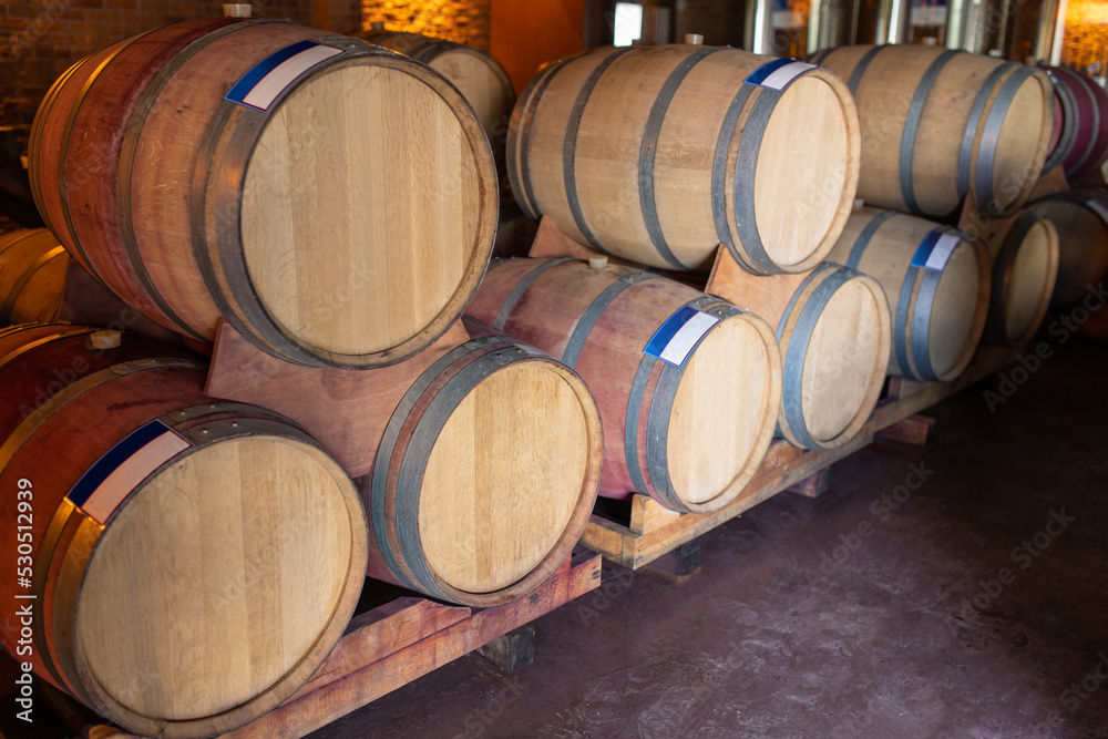 Wine wooden barrels in wine-vaults