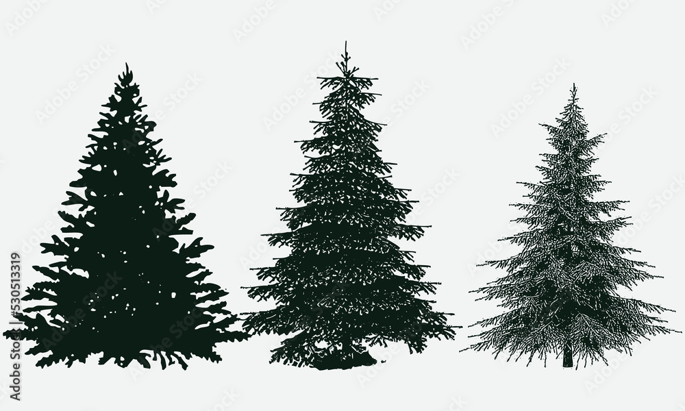 Christmas Tree Silhouette Vectors