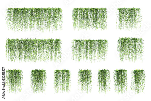 3d rendering of vernonia elliptica hanging isolated