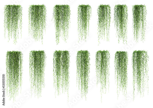 3d rendering of vernonia elliptica hanging isolated