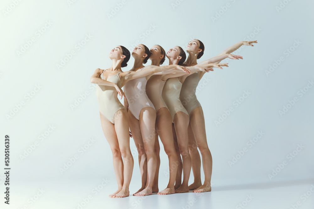 Obraz premium Group of young girls, ballet dancers performing isolated over grey studio background. Standing closely. Tender wave