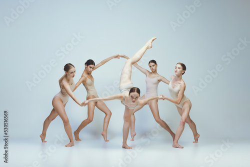 Group of young girls, ballet dancers performing, posing isolated over grey studio background. Holding hands