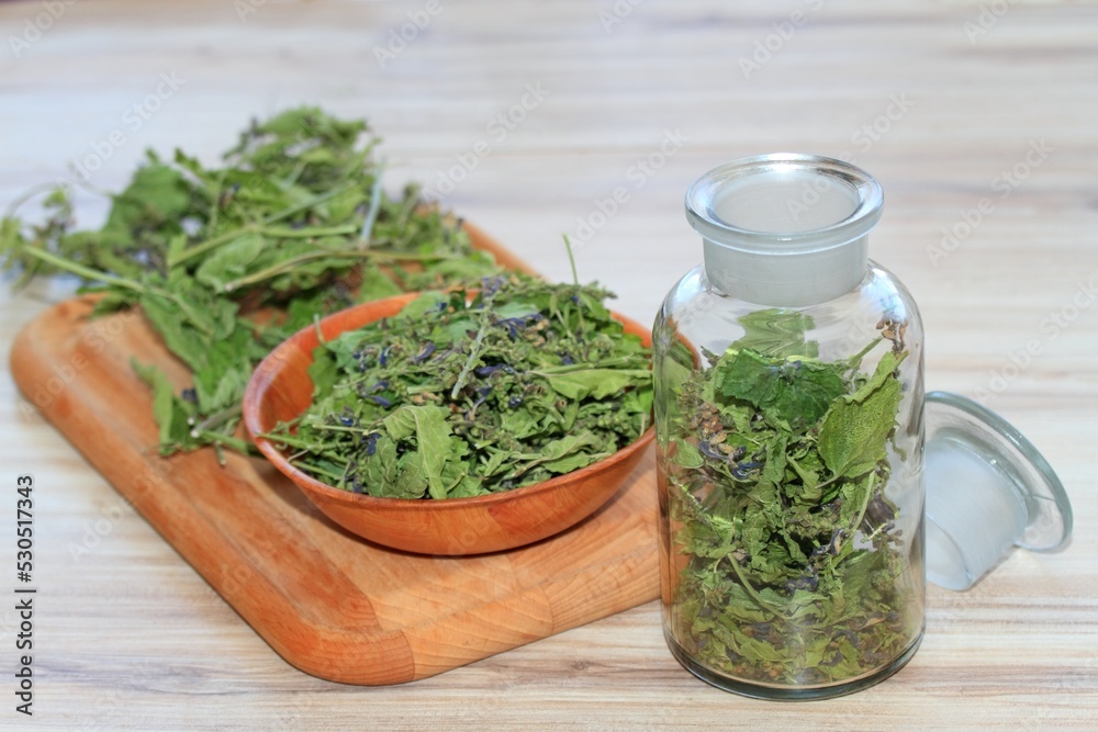 Making tincture from dried Scutellaria lateriflora, known as blue skullcap or mad dog skullcap. Its extract is used in herbal medicine as a mild sedative and sleep promoter. Making tincture from dried Scutellaria lateriflora, known as blue skullcap or mad dog skullcap. Its extract is used in herbal medicine as a mild sedative and sleep promoter.