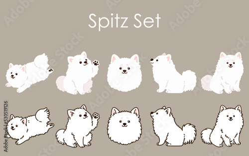 Simple and cute Japanese Spitz dog illustrations set