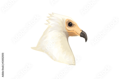eagle head