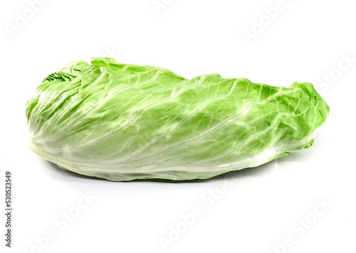 Картината върху платно Sugarloaf chicory,  light green chicory variety with elongated leaf, on white ba