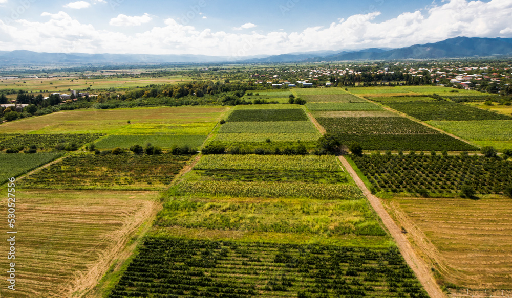 High angle view of agricultural fields in Kakheti, Georgia