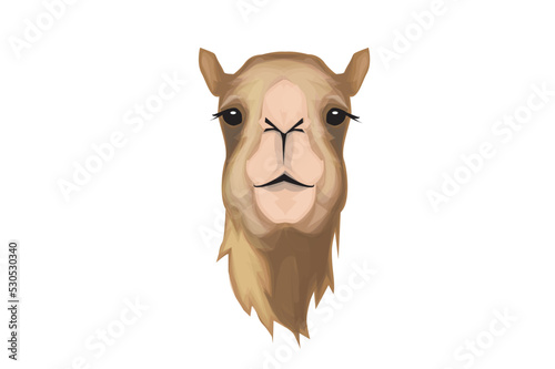 camel head