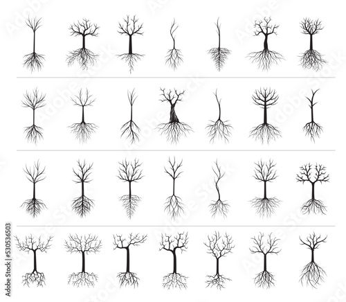 silhouettes of trees with roots © topor