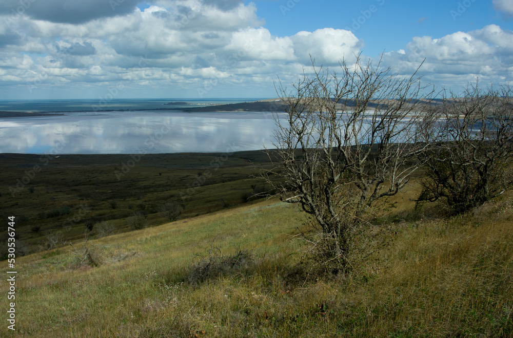 landscape landscape