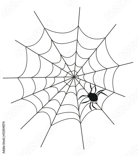 Spider Web and spider. Halloween design elements on white background. Vector.