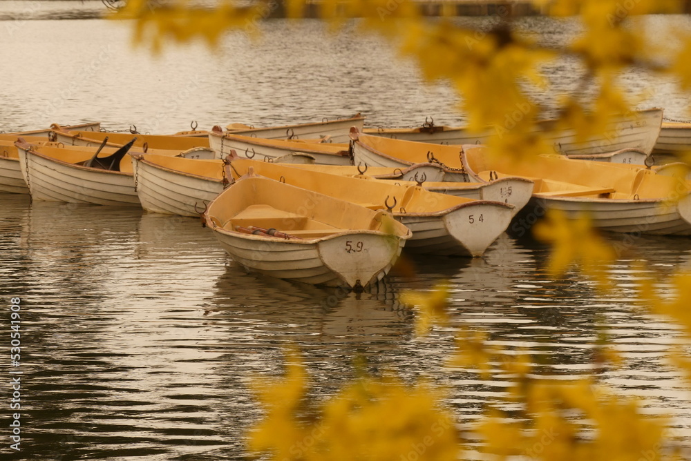 Barque du bois de Boulogne Paris en automne Stock Photo Adobe Stock