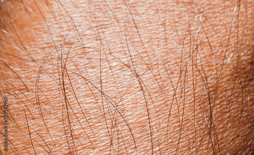 Close up of Human Skin