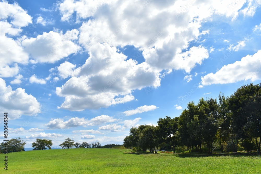 芝生、樹木、白い雲、夏空、青空 芝生、樹木、白い雲、夏空、青空