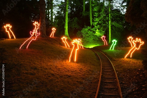 Light art installations in the form of giraffes at Grugapark photo