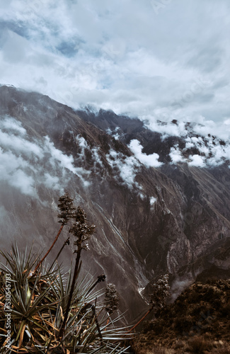 Landscape. Colca Canyon in the Andes, Peru.