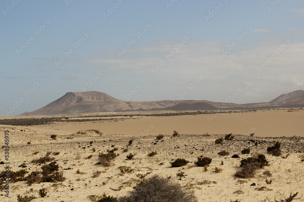 Landscape of the Canary Islands. Fuerteventura, Spain