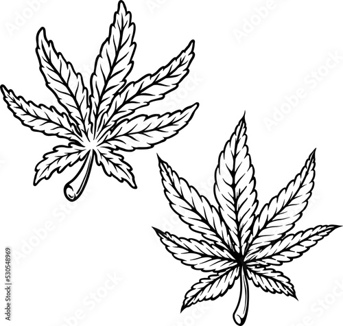 Illustration of cannabis leaf. Design element for poster, t shirt, sign. Vector illustration