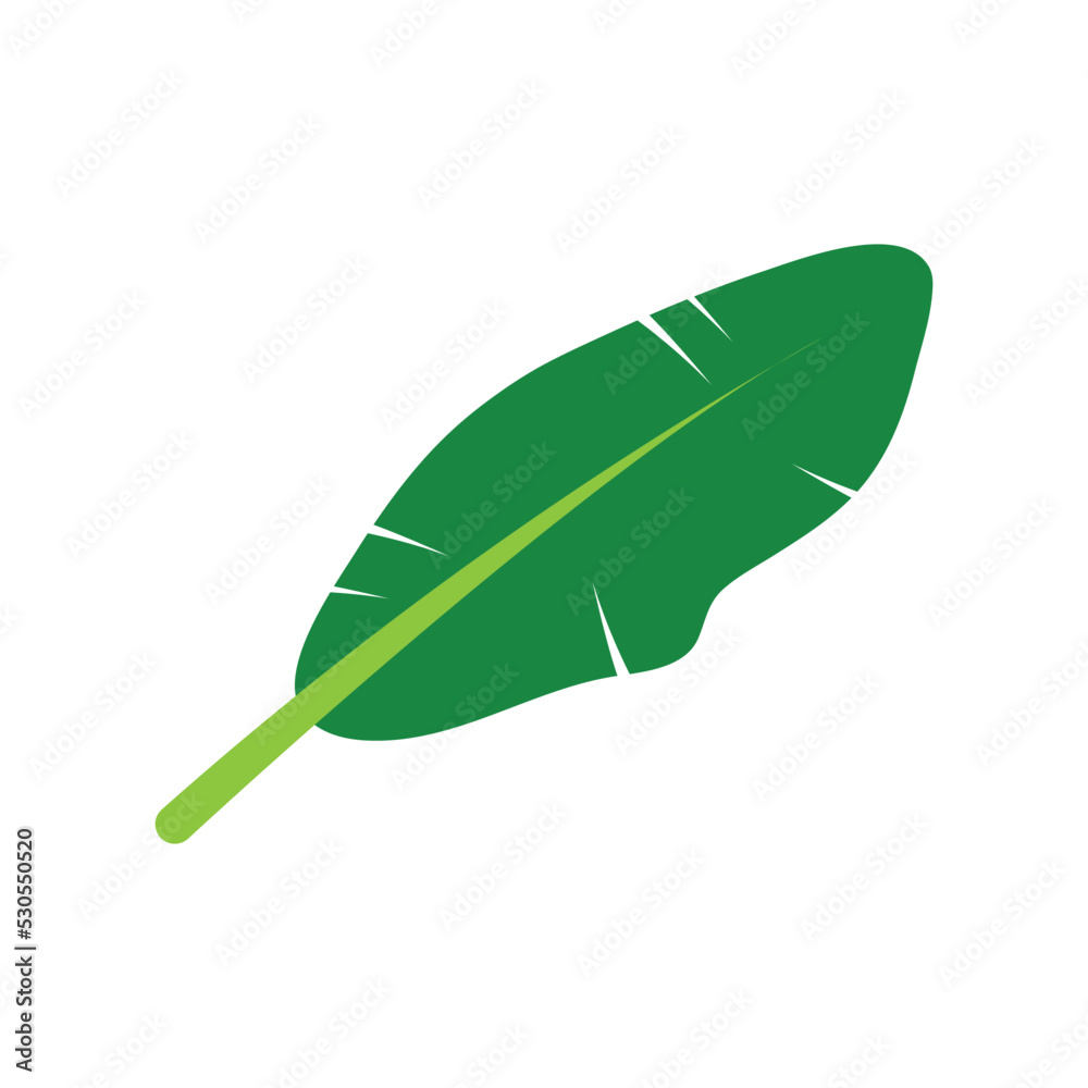 Banana leaf icon template illustration