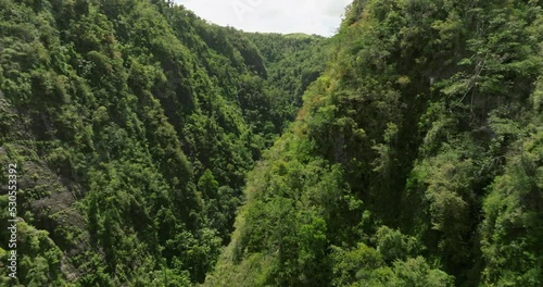 Cañón San Cristóbal Puerto Rico Tropical forest on a sunny day photo