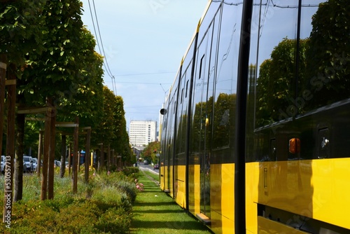 green lawn in between tramway steel tracks. diminishing perspective with yellow tram closeup and streetscape. lush green tree line on the side. environment and city lifestyle concept