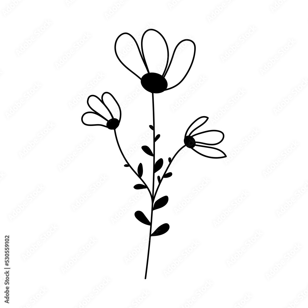 Silhouette image of chamomile. Vector illustration of a flower. Flowers and plants.