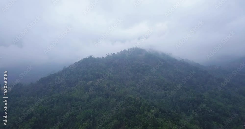 Aerial shot of forest and hill in the morning with dark clouds at sky. Dense forest on the hill. thick cloud cover a hill Aerial shot of forest and hill in the morning with dark clouds at sky. Dense forest on the hill. thick cloud cover a hill