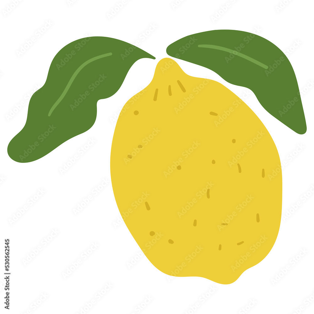 Lemon. Flat vector illustration on white background. Lemon. Flat vector illustration on white background.