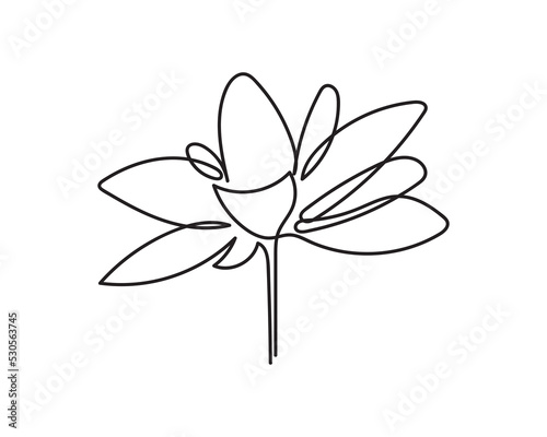 Hand-drawn artistic illustration of the lotus flower line. linear floral pattern. Vector design of a water lily. The concept of yoga