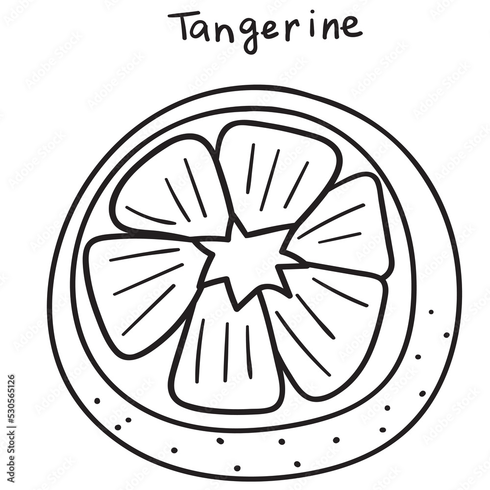 Tangerine icon. Outline illustration on white background. Tangerine icon. Outline illustration on white background.