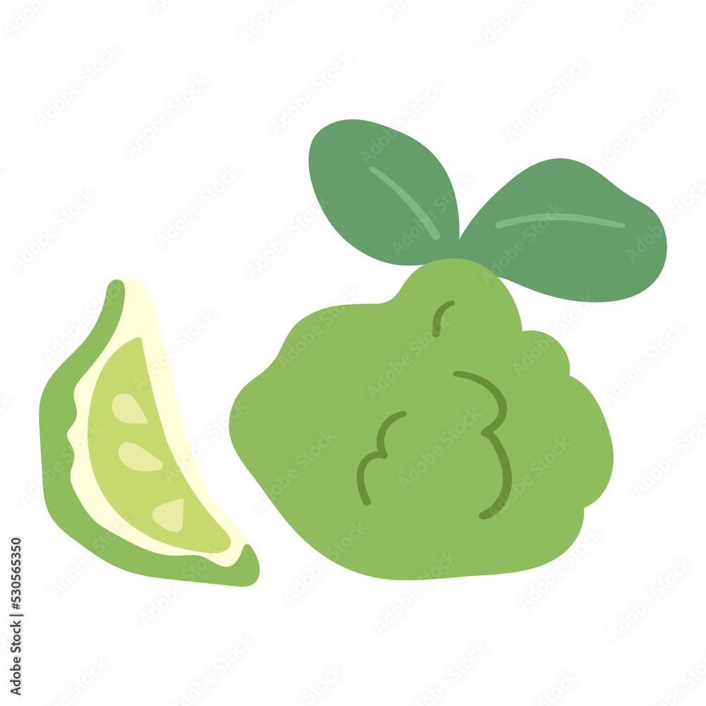 Bergamot. Hand drawn flat vector illustration on white background. Bergamot. Hand drawn flat vector illustration on white background.