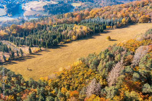 Aerial view of the autumn colored forest in Taunus Germany with a forest meadow