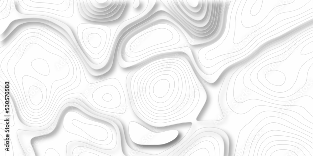 White paper texture abstract pattern with lines topographic map background. Line topography map contour background, geographic grid. Abstract vector illustration.	

