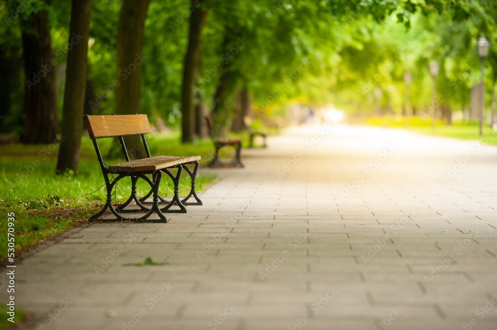 Beautiful view of green park with path and wooden bench. Space for text