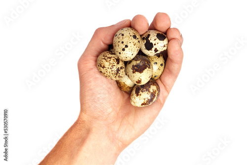 The man is holding small quail eggs.