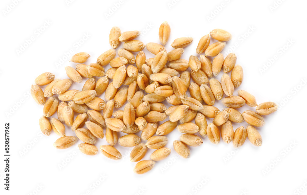 Pile of wheat grains on white background, top view Pile of wheat grains on white background, top view
