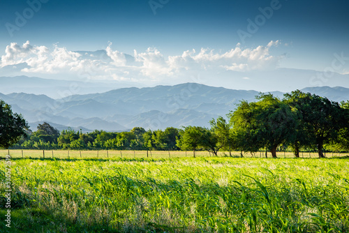 photograph green meadow landscape with mountains and clouds