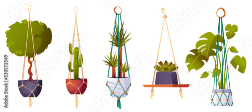 Macrame hangers with green house plants and flowers. Handmade planters, hanging pots with cactus, ficus, dracaena and monstera for home interior, garden or greenhouse, vector cartoon set