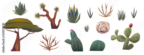 Desert plants, cactuses, grass, bushes, tree and tumbleweed isolated on white background. Green prickly cacti with flowers, acacia tree, dry weed ball, vector cartoon set
