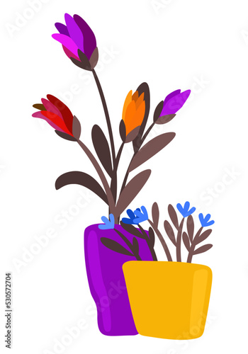 Bright flowers in pots. Vector illustration isolated on white background.