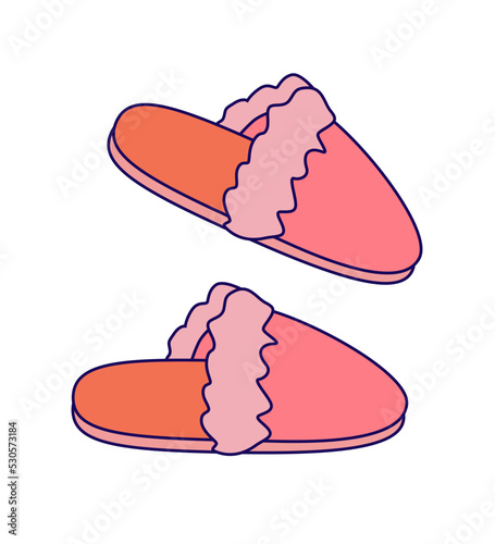 Fluffy Slippers isolated on white background