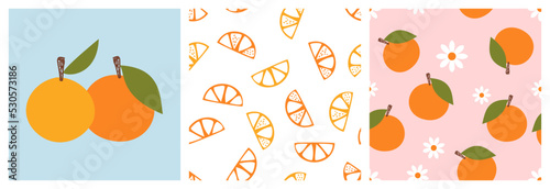 Seamless pattern of orange fruit and flower on white and pink background. Orange fruit icon on blue background vector illustration.
