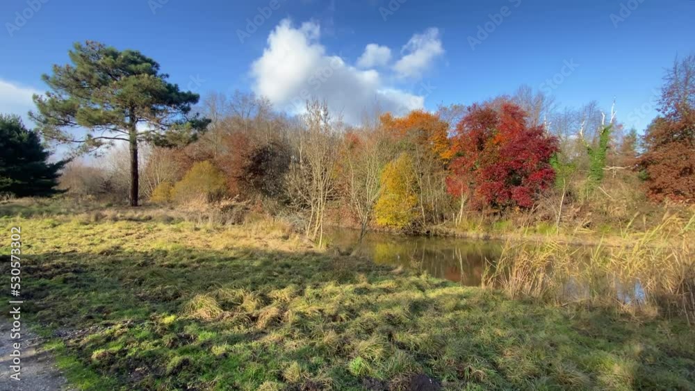 Path and colored trees of Autumn on a sunny day in the Parc Floral in Bordeaux, France Path and colored trees of Autumn on a sunny day in the Parc Floral in Bordeaux, France