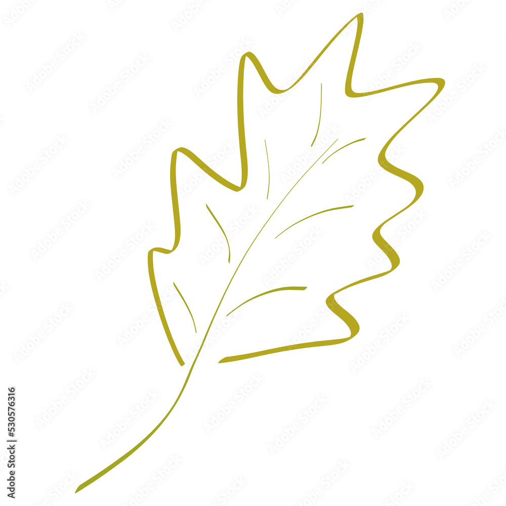 green leaf of a tree with a jagged edge, outline on a white background green leaf of a tree with a jagged edge, outline on a white background